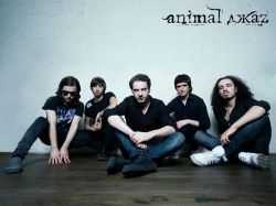 Animal ДжаZ