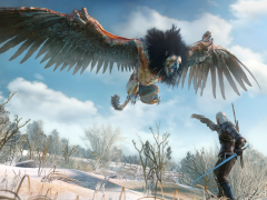 2676231-the_witcher_3-wild_hunt_various_types_of_enemies_require_different_approach