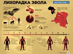 новости татарстана лихорадка эбола