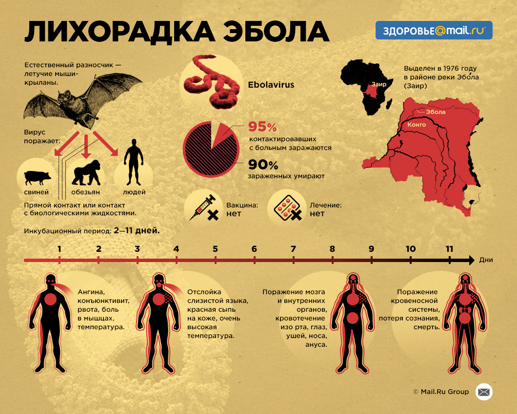 новости татарстана лихорадка эбола