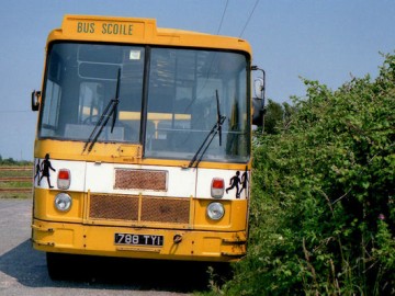 3326213_fd5905e4