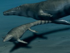 Mosasaurus_BW