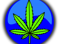 cannabis-490775_640