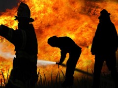 fire-fighter-278012_640