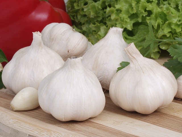 garlic-731001_640