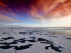 arctic-139396_640