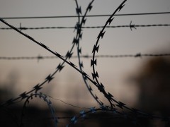 barbed-wire-765484_640