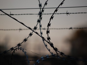 barbed-wire-765484_640