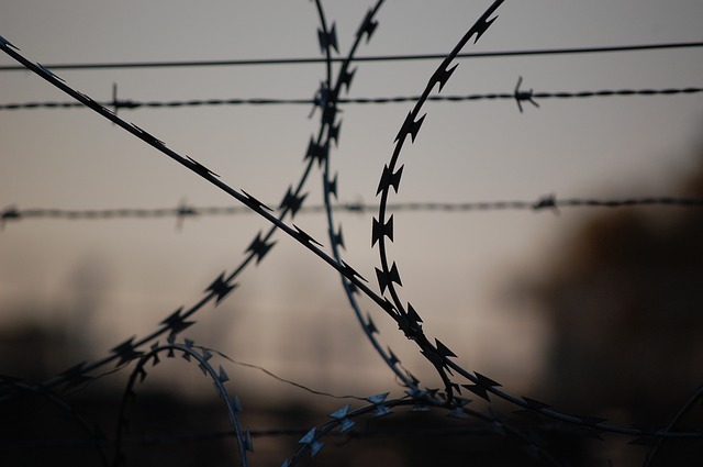 barbed-wire-765484_640