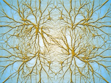 neurons-582052_640