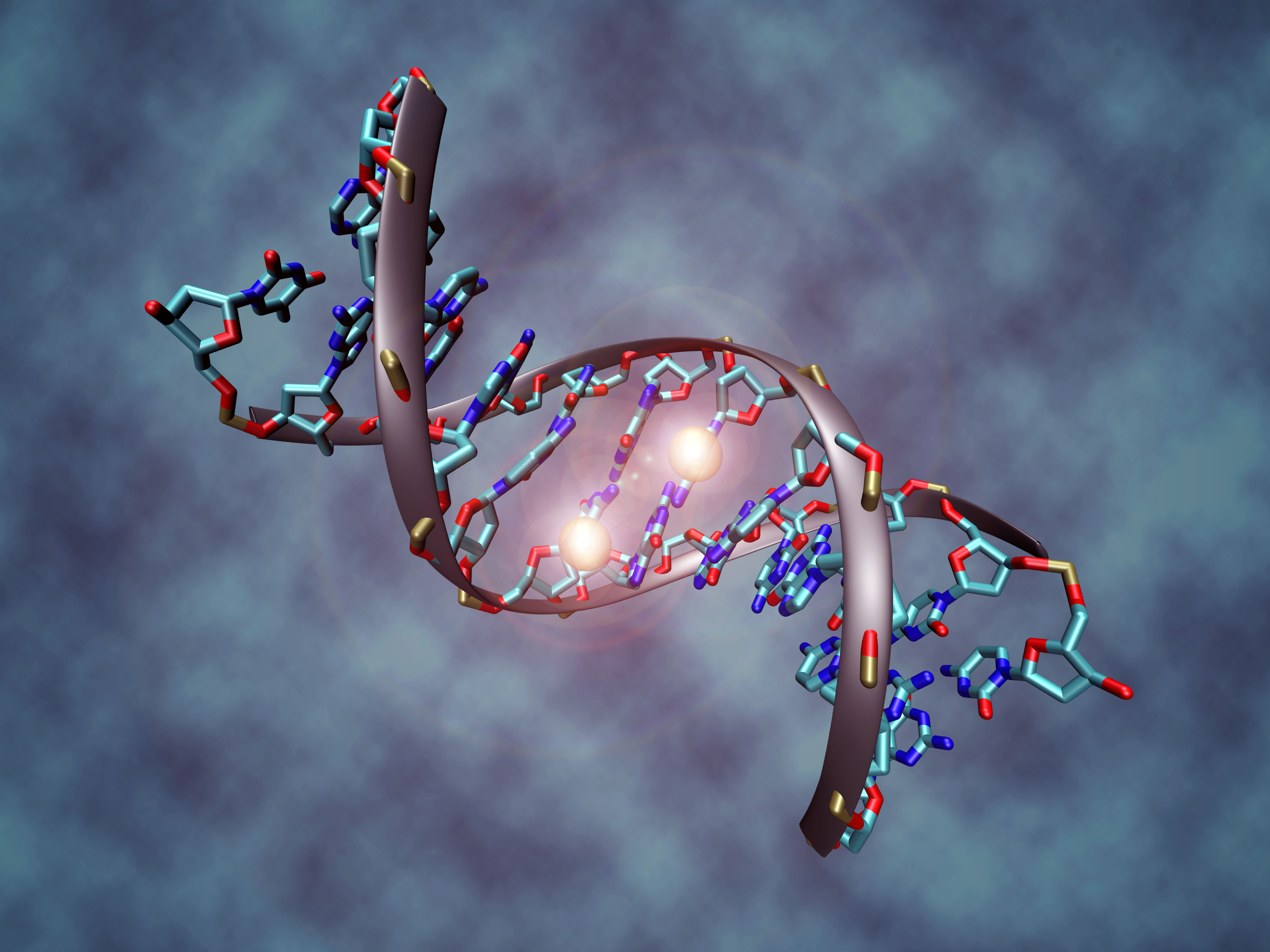 DNA_methylation