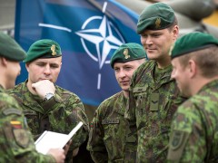 Exercise Steadfast Cobalt