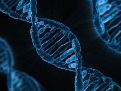 dna-163466_640