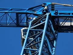 crane-482425_640
