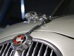 jaguar-753314_640