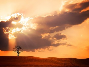 landscape-723648_640