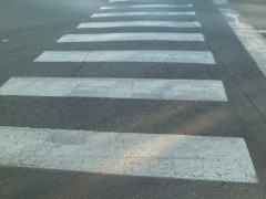 traffic-signal-502342_640