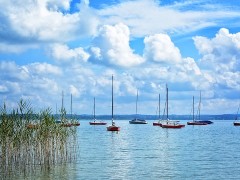 sailing-boats-931518_640